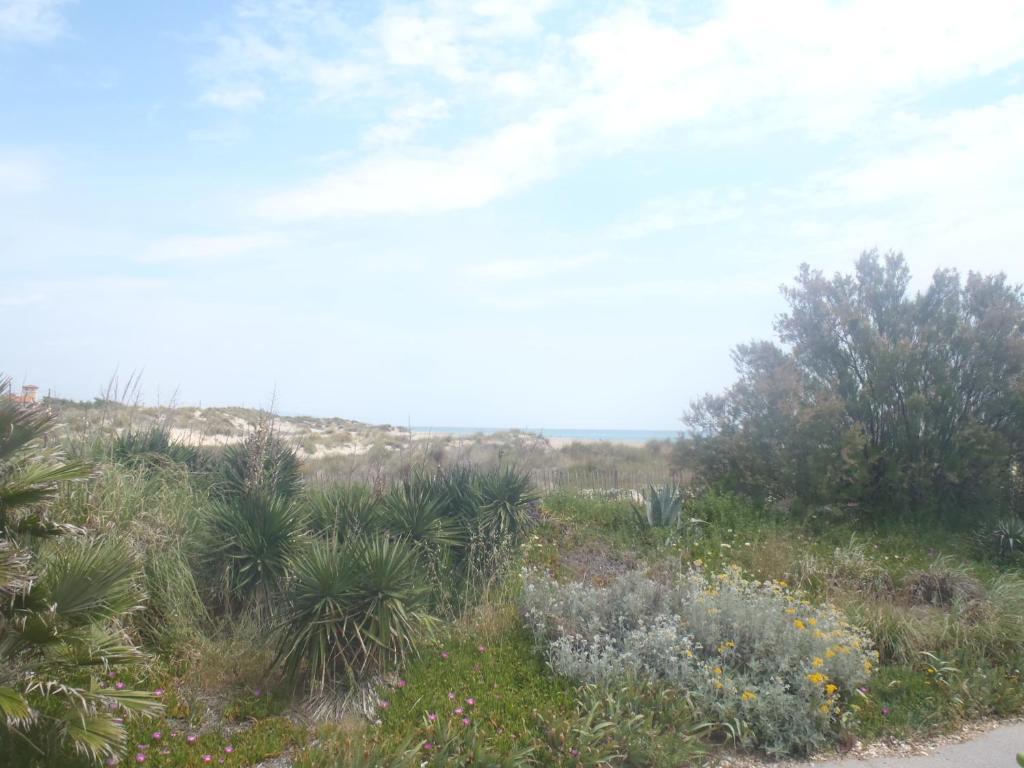 Hotel Les Dunes Marseillan  Buitenkant foto